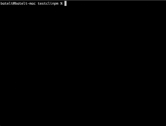 npm-with-CLI-1.gif
