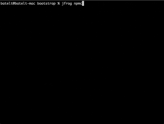 npm-with-CLI-2.gif