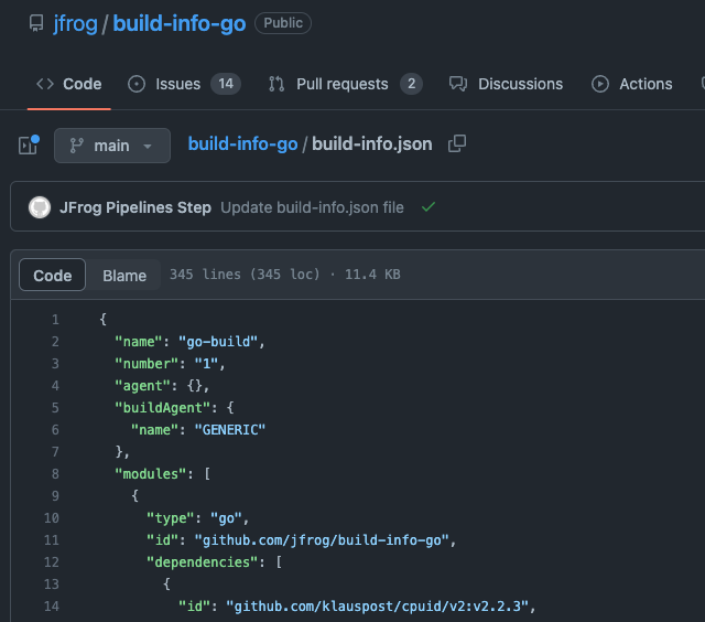 build-info-json file