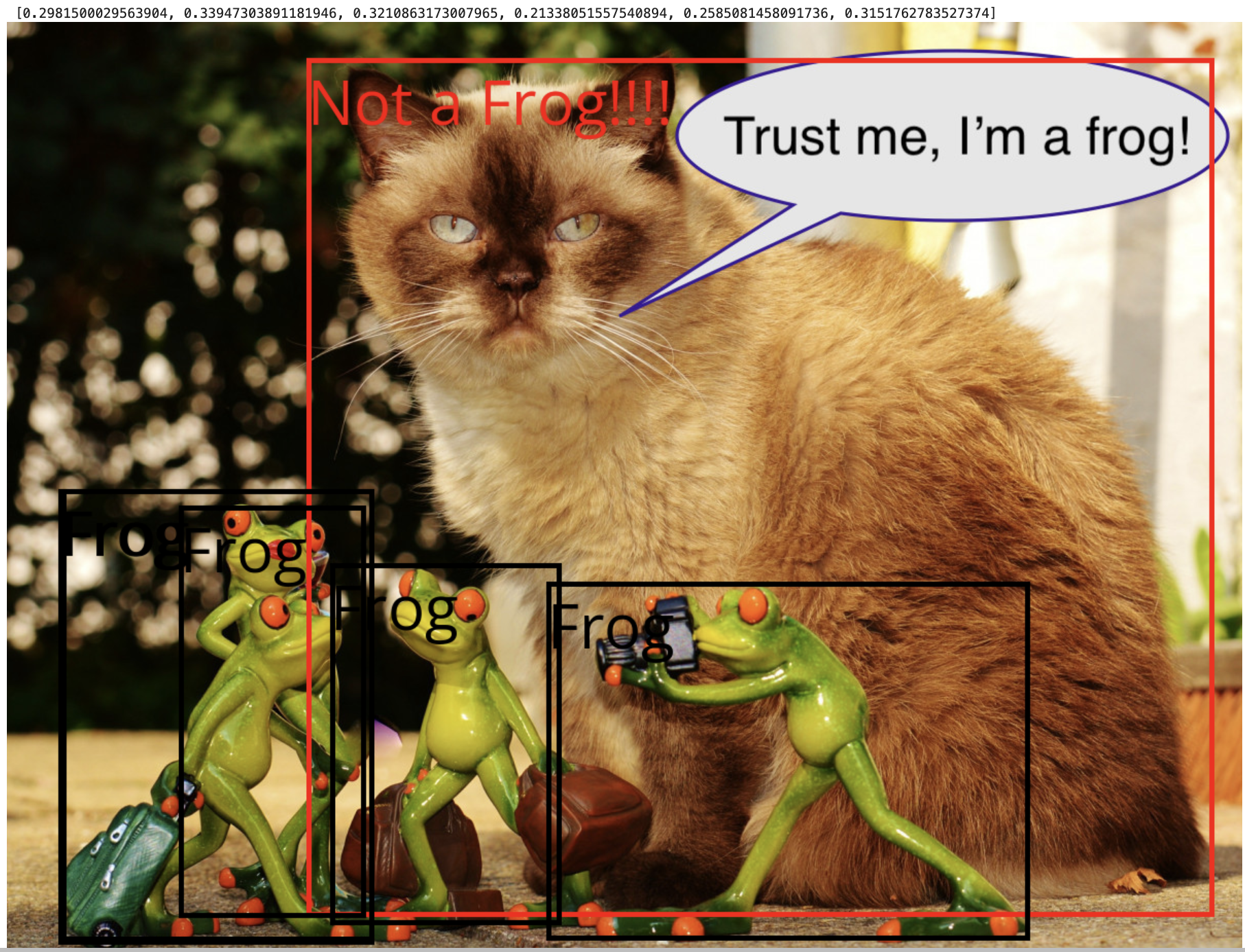 image of cat and four frogs - imposter found
