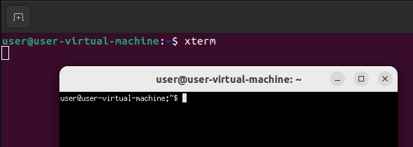 2_Xterm window - an X11 client application